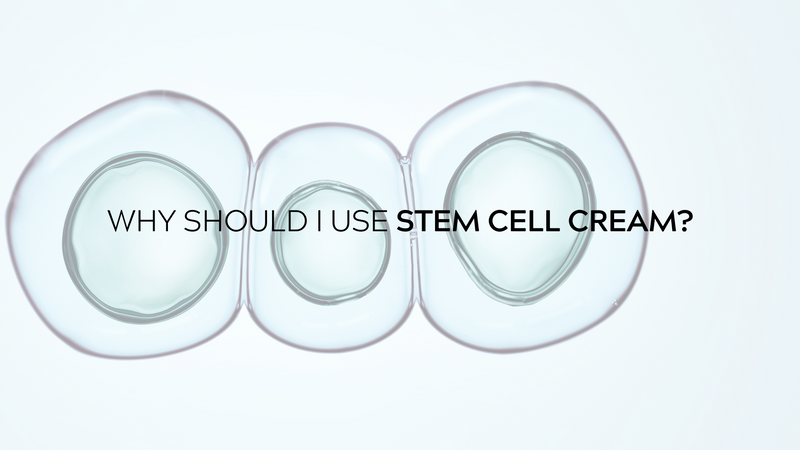 Why Should I Use Stem Cell Cream?